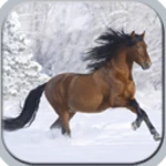 Logo of Horses in winter android Application 