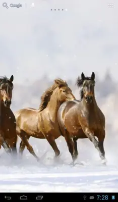 Horses in winter android App screenshot 9