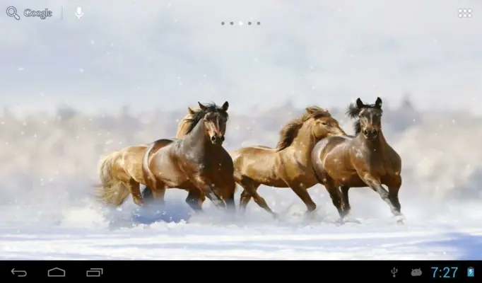 Horses in winter android App screenshot 1