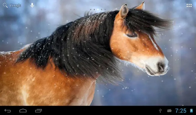 Horses in winter android App screenshot 2