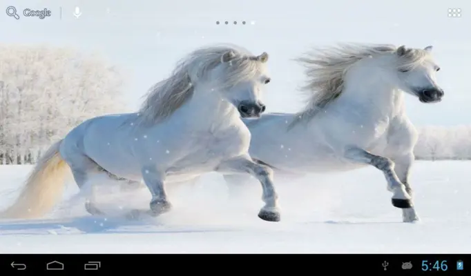 Horses in winter android App screenshot 3