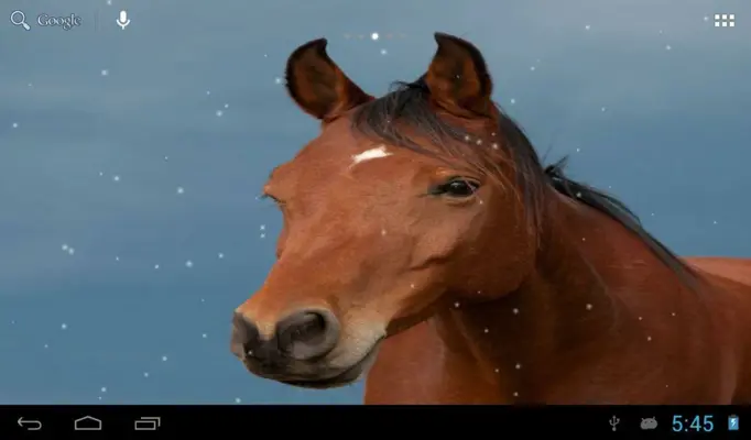 Horses in winter android App screenshot 4